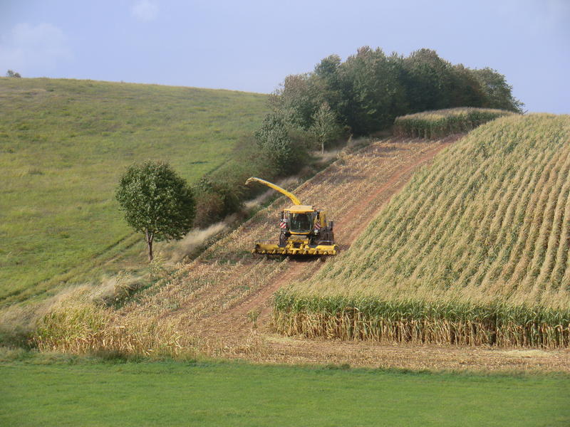 bilder/19_10_2014/CIMG8397.jpg