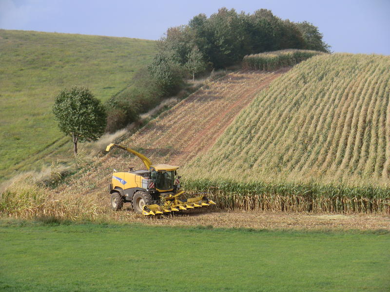 bilder/17_5_2002/jaguar_900_+_fendt_514.jpg