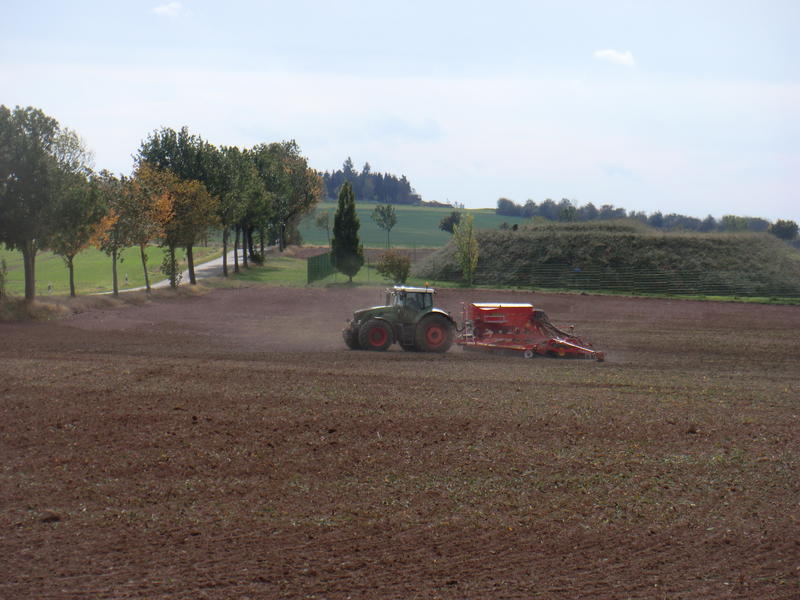 bilder/6_10_2012_2/CIMG1550.jpg
