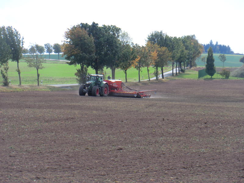 bilder/6_10_2012_2/CIMG1551.jpg