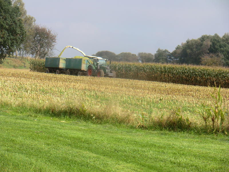 bilder/19_10_2014_2/CIMG8437.jpg