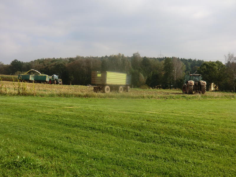bilder/6_10_2014/CIMG8129.jpg