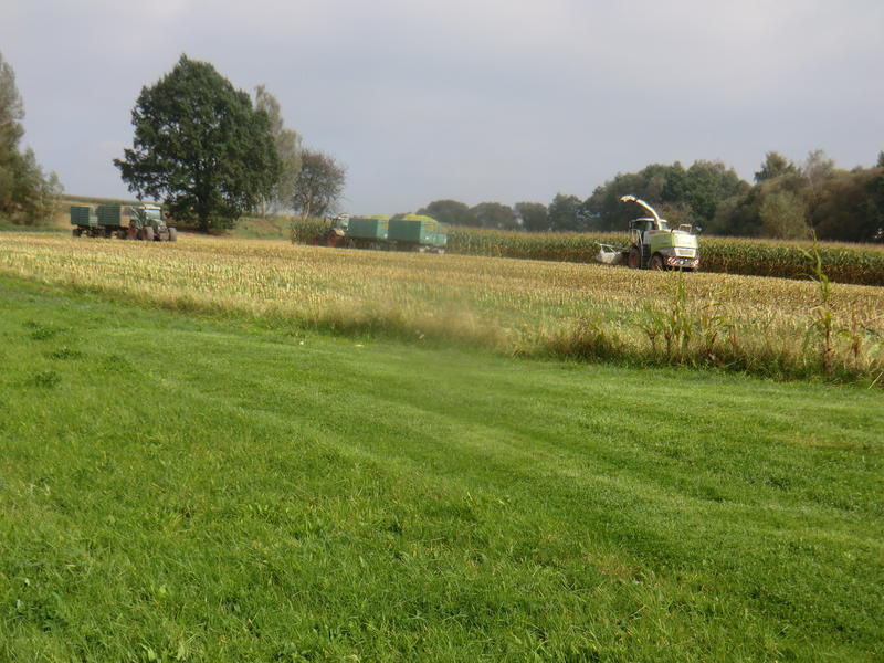 bilder/18_7_2005/jaguar_fendt_824_4.jpg