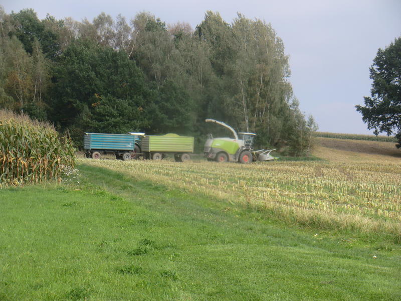 bilder/6_10_2014/CIMG8138.jpg