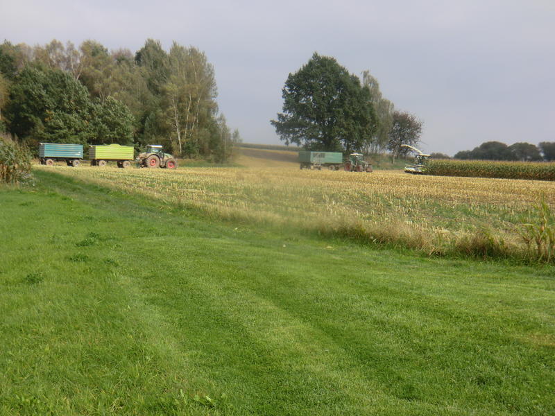 bilder/28_8_2005/lexion_6.jpg