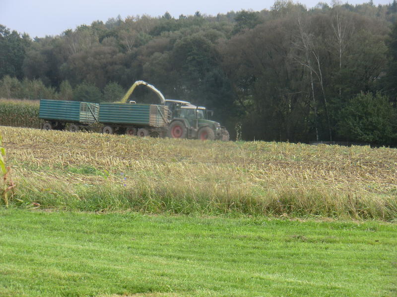 bilder/11_8_2013_2/CIMG8930.jpg