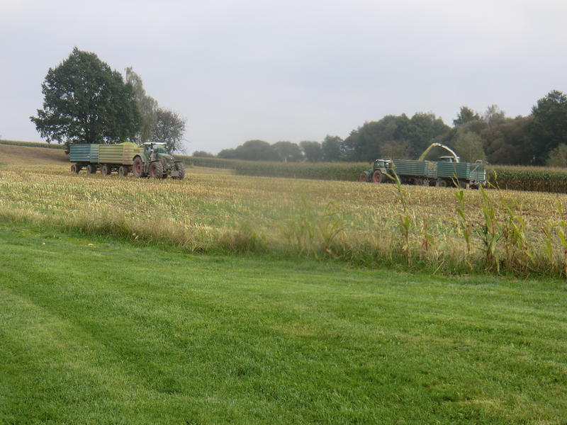 bilder/22_4_2011_2/CIMG1784.jpg