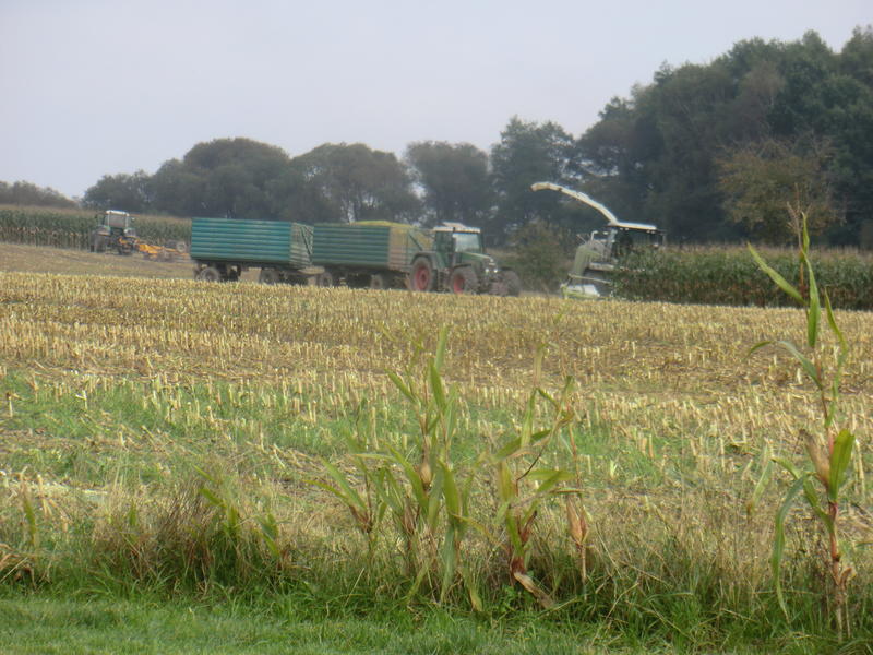 bilder/15_7_2011/CIMG3006.jpg