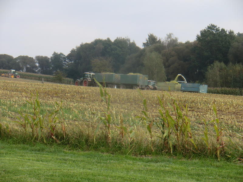 bilder/6_10_2014/CIMG8148.jpg