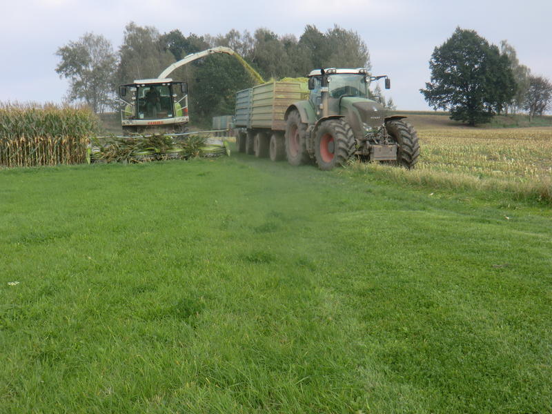 bilder/6_10_2014/CIMG8153.jpg