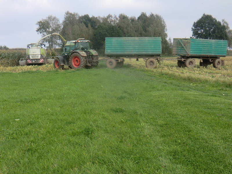 bilder/6_10_2014/CIMG8157.jpg
