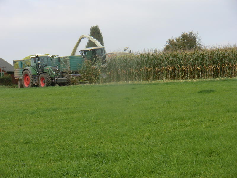 bilder/3_8_2002/lexion_5.jpg
