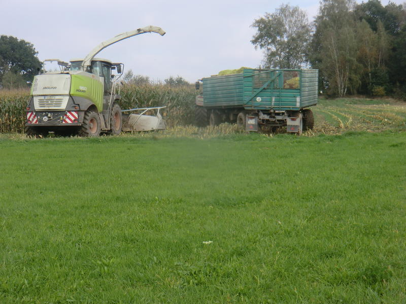 bilder/8_6_2004/jaguar_fendt_2.jpg