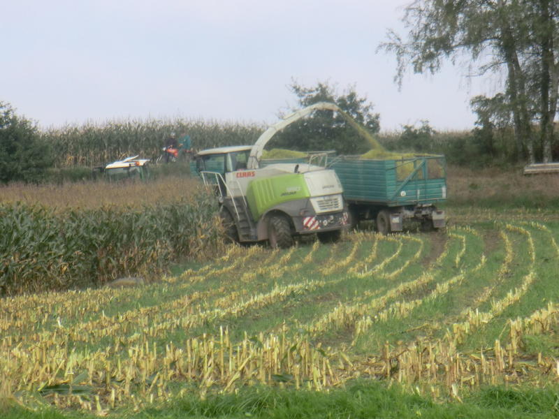 bilder/6_10_2014/CIMG8179.jpg