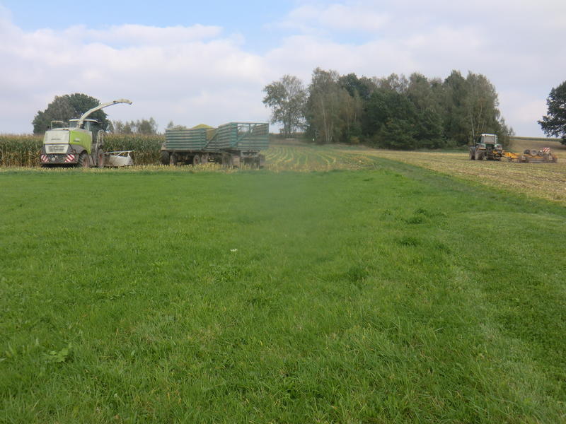 bilder/4_8_2015/DSC02062.jpg