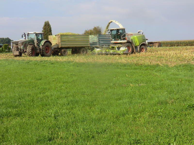 bilder/25_9_2002_1/jaguar_+_fendt_716_+_fendt_514.jpg