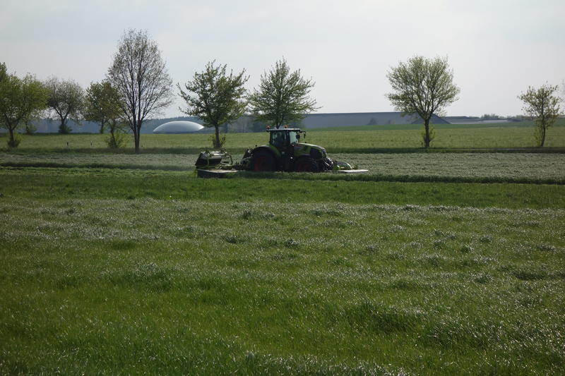 bilder/5_6_2014_2/CIMG3173.jpg