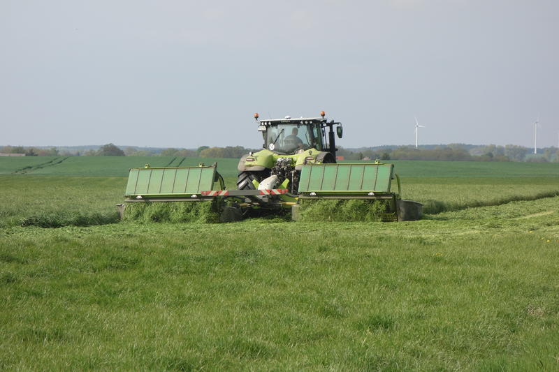 bilder/11_8_2012_3/CIMG0067.jpg