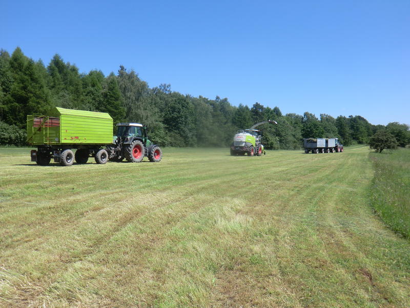bilder/6_6_2014/CIMG3202.jpg