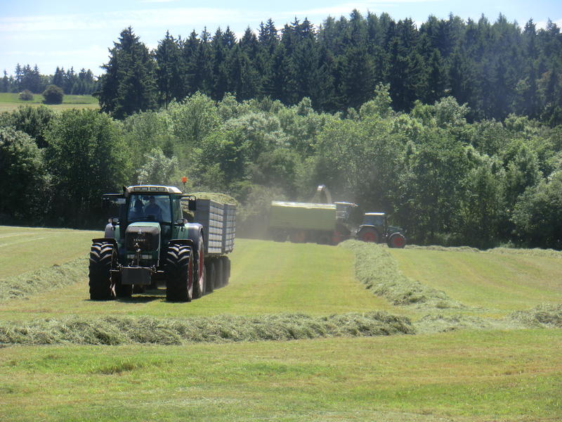bilder/6_6_2014/CIMG3205.jpg