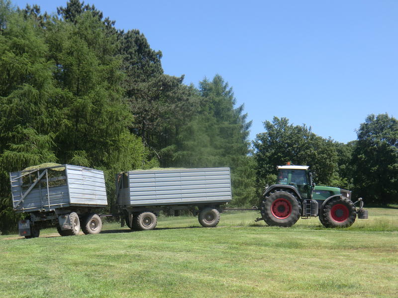 bilder/30_7_2004/lexion_2.jpg