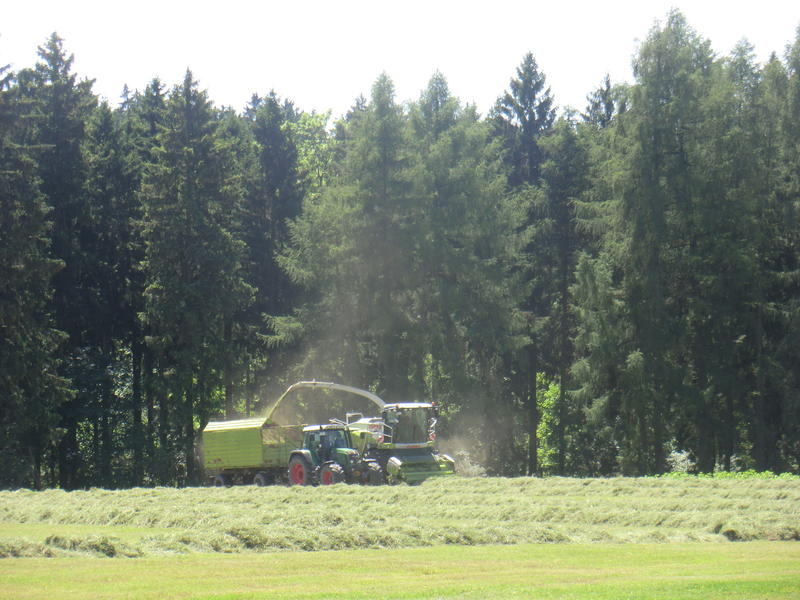 bilder/31_8_2005/lexion_fendt_5.jpg
