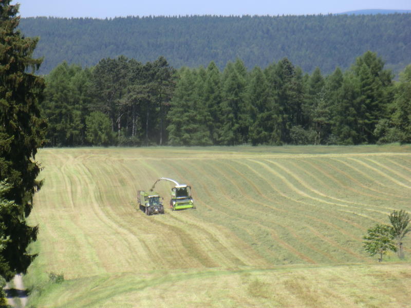 bilder/26_7_2005/fendt_514_zt_303.jpg