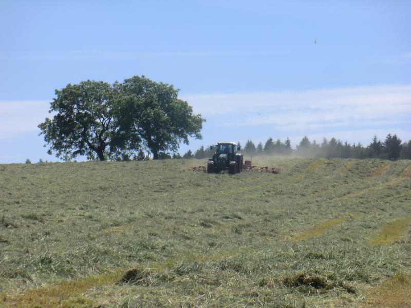 bilder/6_6_2014_2/CIMG3192.jpg