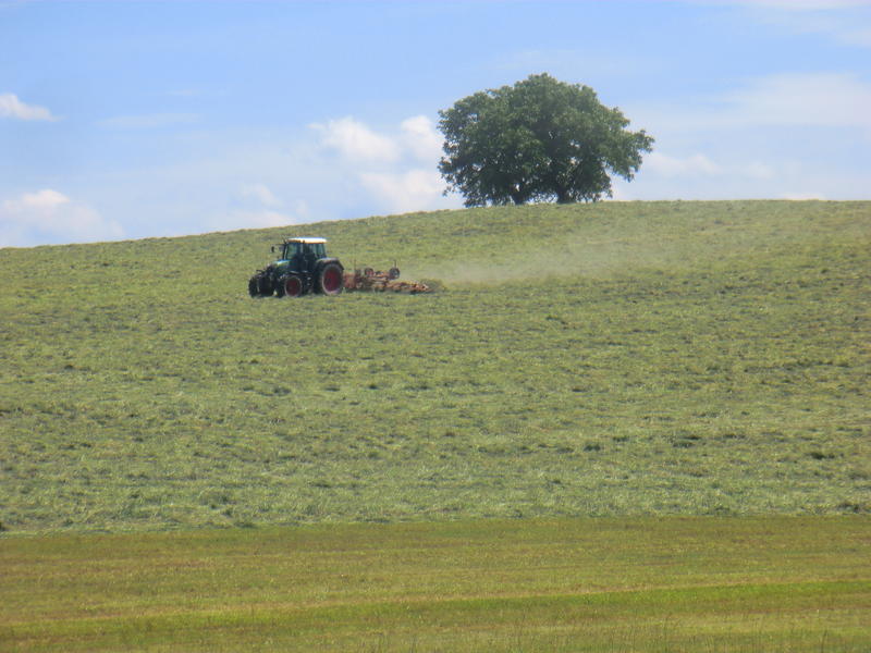 bilder/6_6_2014_2/CIMG3217.jpg