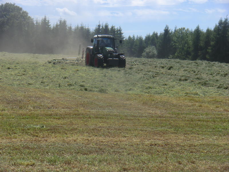 bilder/6_6_2014_2/CIMG3239.jpg