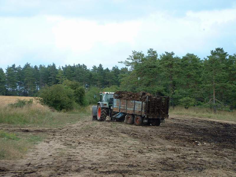 bilder/6_8_2002_1/fendt_514_2.jpg