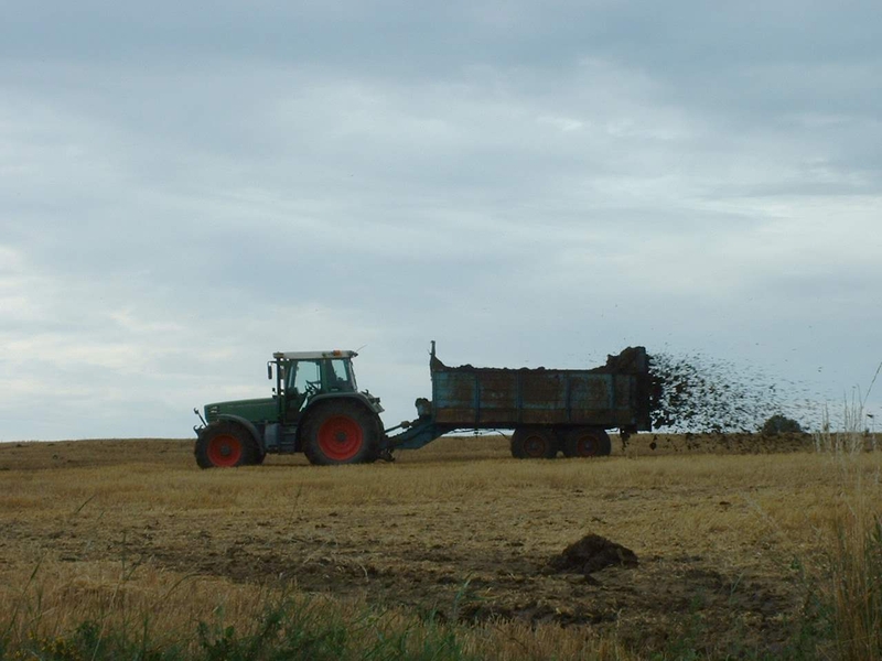 fendt_514_3.jpg