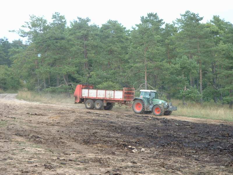 bilder/6_8_2002_1/fendt_716_3.jpg