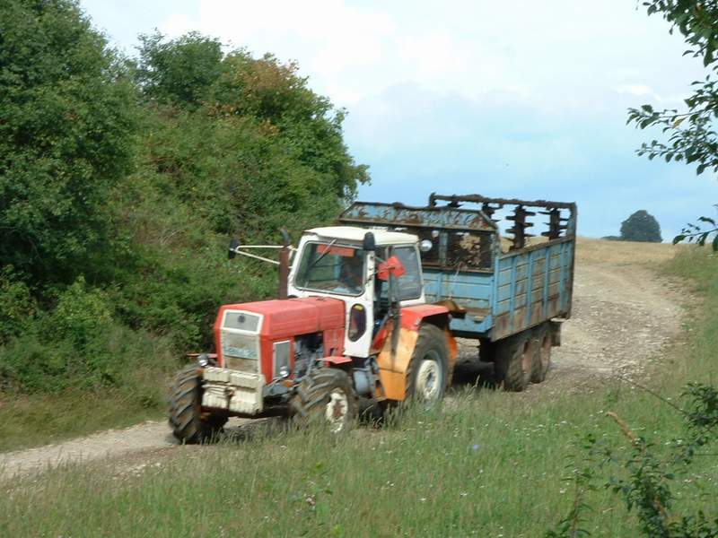 zt_303.jpg