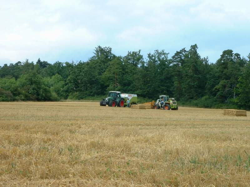 bilder/6_8_2002_2/fendt_716_+_ranger.jpg