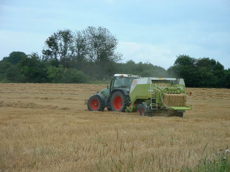 bilder/2_7_2013_3/CIMG8024.jpg