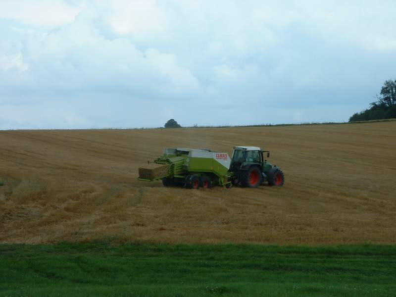 bilder/12_8_2012/CIMG0172.jpg