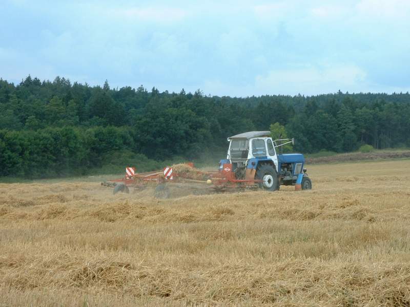 bilder/16_6_2011/CIMG2526.jpg