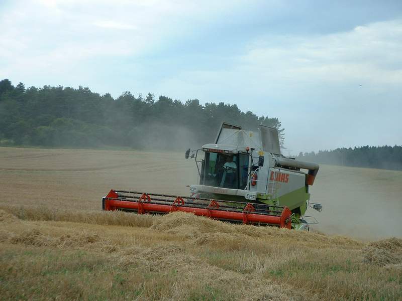 bilder/28_9_2013/CIMG9866.jpg