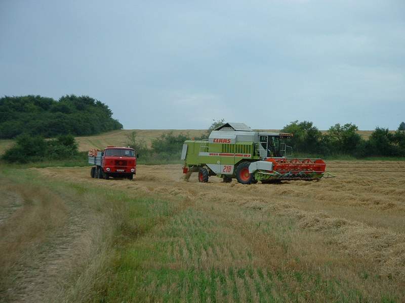 bilder/4_5_2008/IMGP8087.jpg