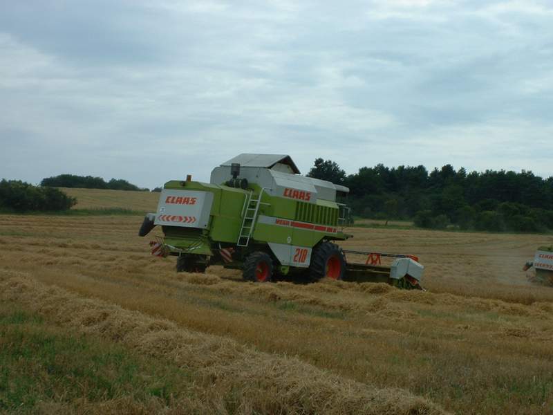 bilder/18_9_2012/CIMG0832.jpg