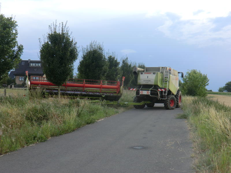 bilder/6_8_2013/CIMG8588.jpg
