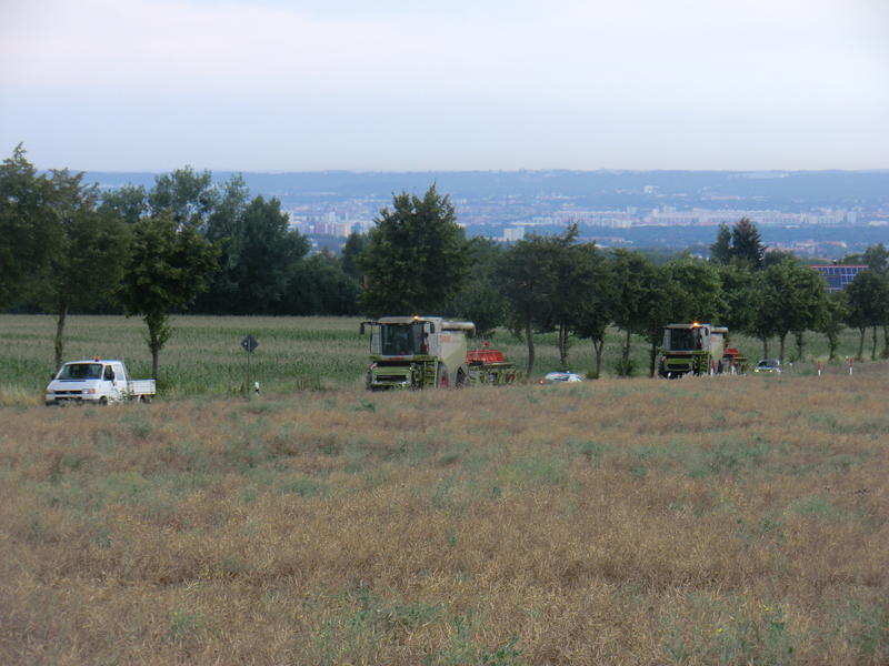 bilder/6_8_2013/CIMG8592.jpg