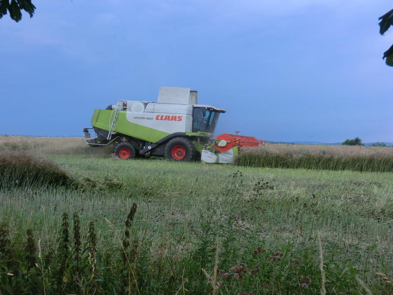 bilder/6_8_2013/CIMG8598.jpg