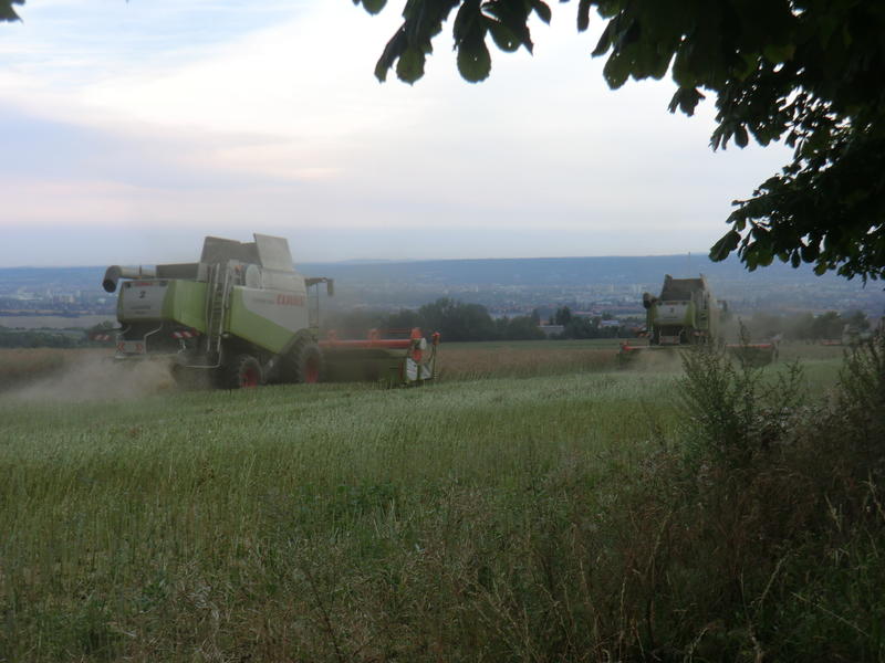 bilder/27_5_2017/DSC08523.jpg