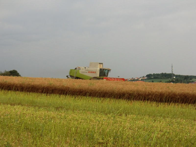 bilder/11_9_2016/DSC05600.jpg