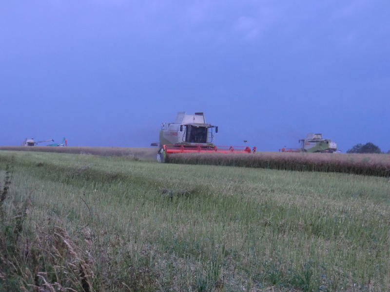 bilder/6_8_2013/CIMG8631.jpg