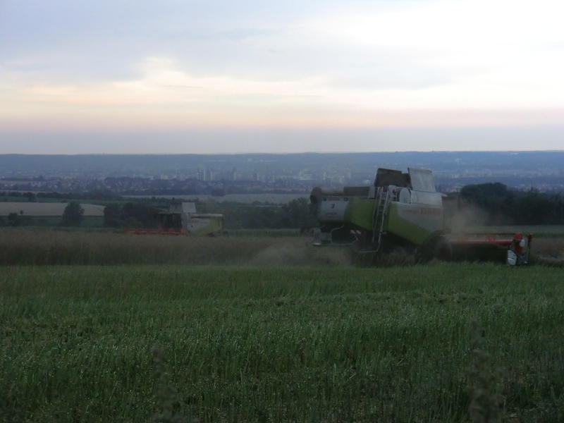 bilder/10_10_2002/zt_303_11.jpg