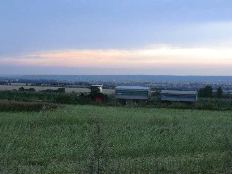 bilder/3_9_2004/mega_4.jpg