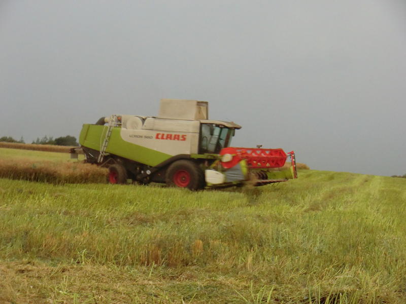 bilder/6_8_2013/CIMG8645.jpg